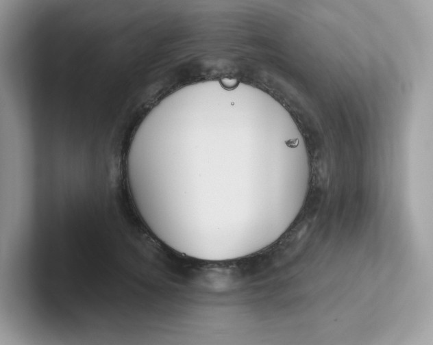 X0000101470756200807281019