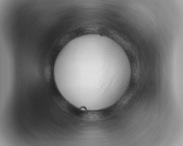 X0000101470758200807281019