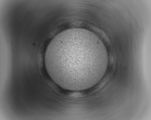 X0000101470759200807281019