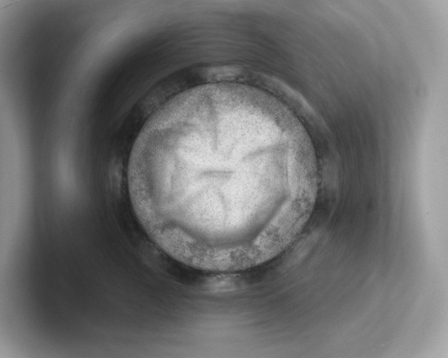 X0000101470761200807281019