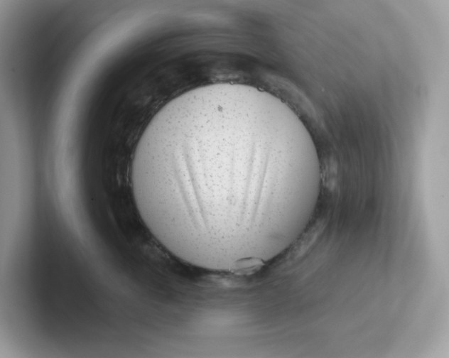 X0000101470763200807281019