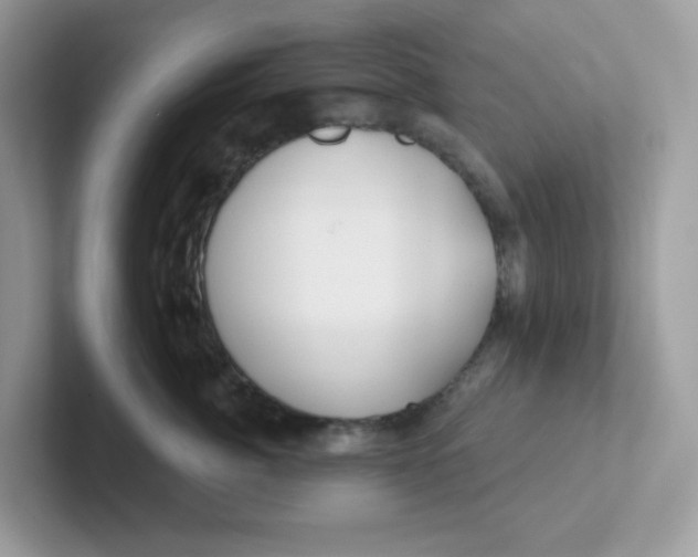 X0000101470764200807281019