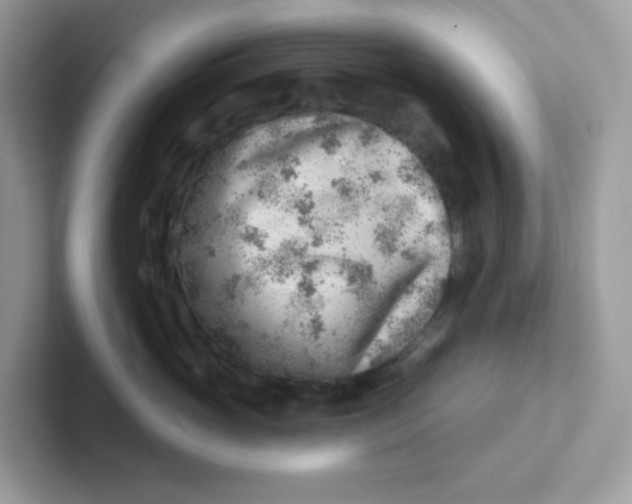 X0000101470765200807281019