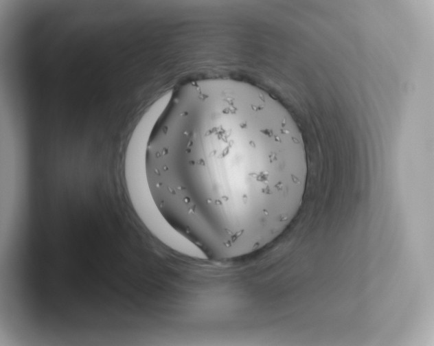 X0000101470768200807281019