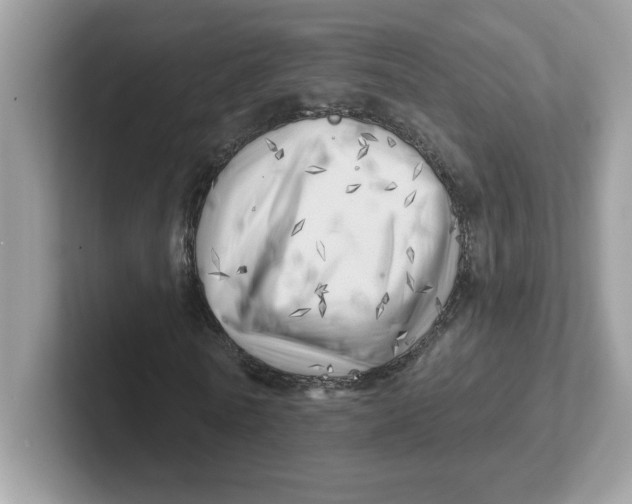 X0000101470770200807281019