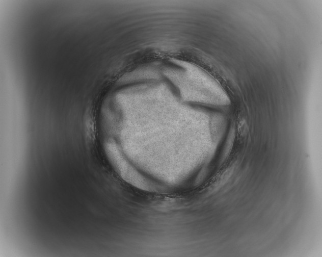 X0000101470772200807281019