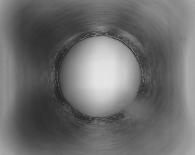 X0000101470773200807281019