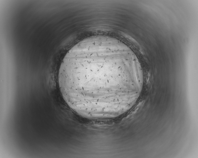 X0000101470774200807281019