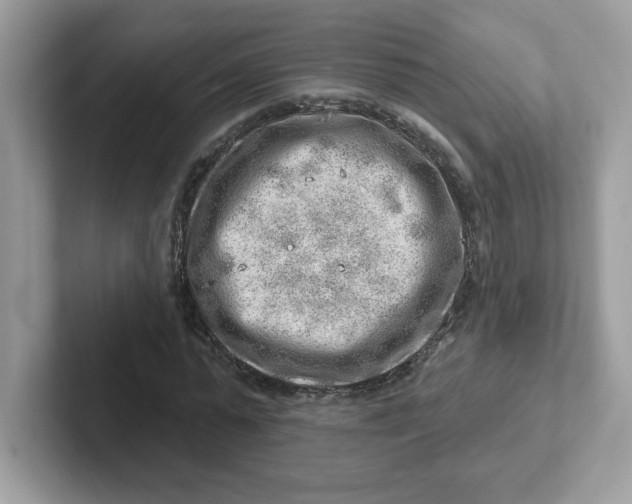 X0000101470775200807281018