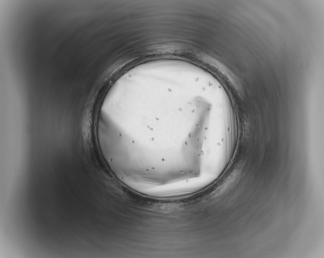 X0000101470778200807281018