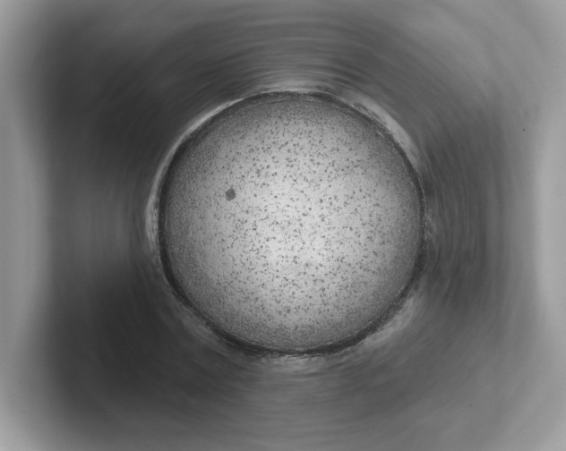 X0000101470779200807281018