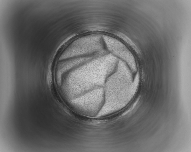 X0000101470782200807281018