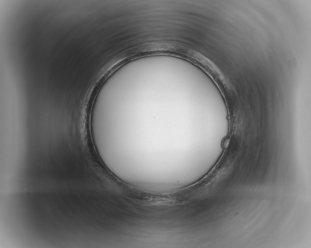 X0000101470786200807281018