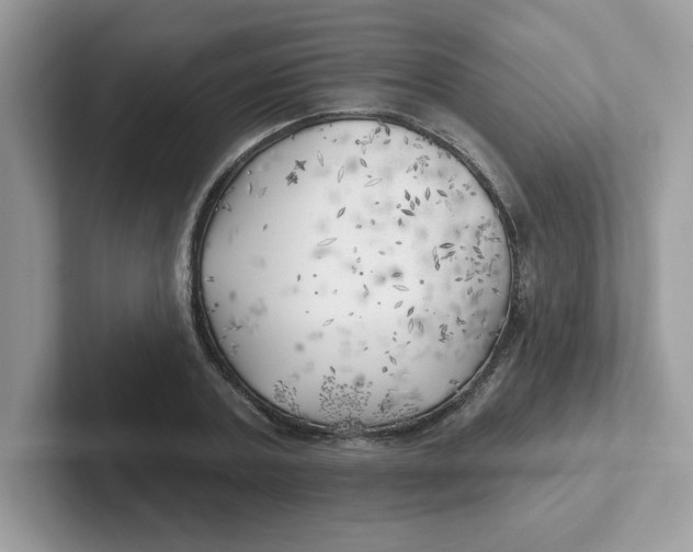 X0000101470787200807281018