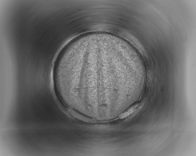 X0000101470788200807281018