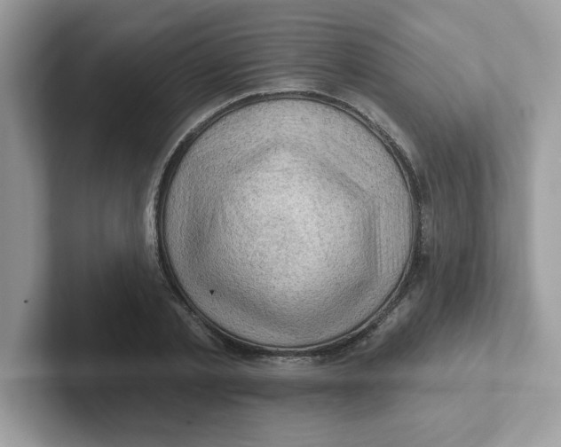 X0000101470789200807281018