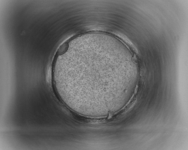 X0000101470790200807281018