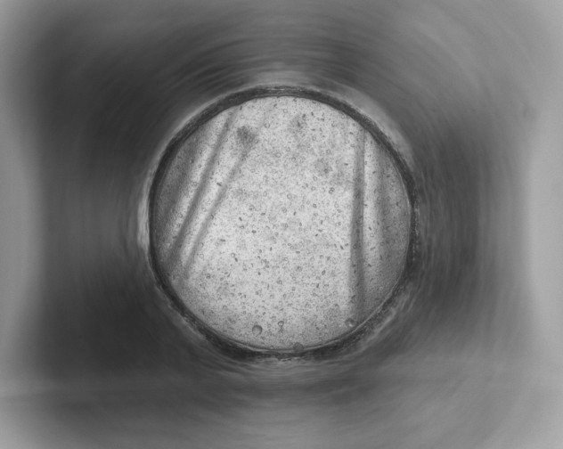 X0000101470791200807281018