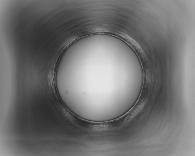 X0000101470793200807281018