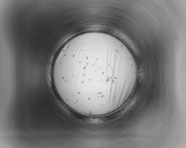 X0000101470794200807281018