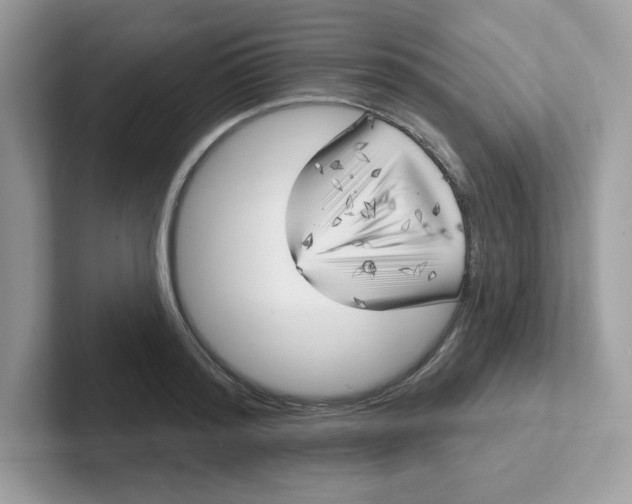 X0000101470796200807281018