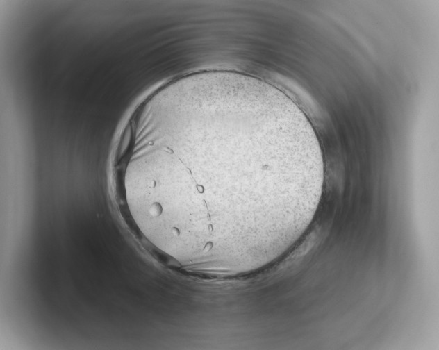 X0000101470804200807281018