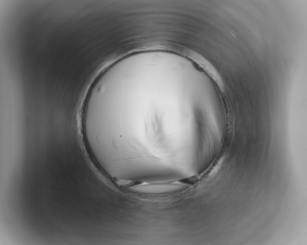 X0000101470805200807281018