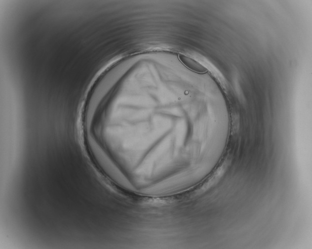 X0000101470806200807281018