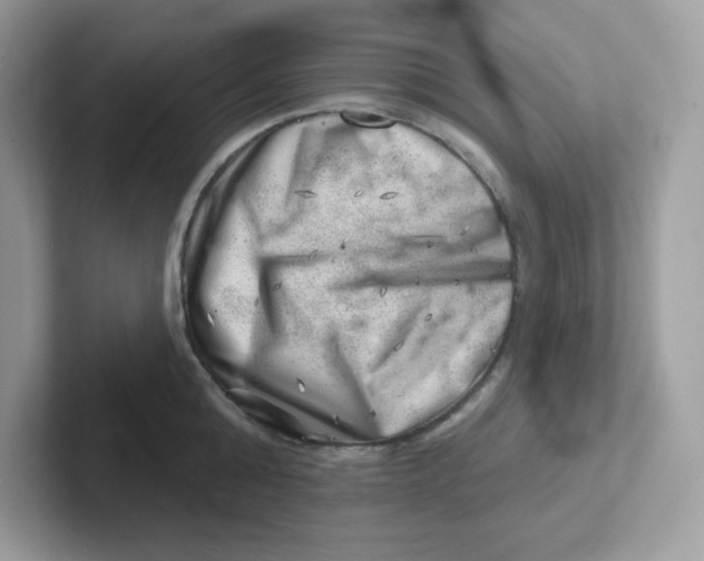 X0000101470808200807281018