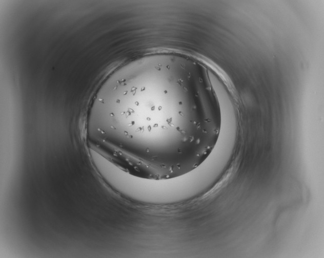 X0000101470809200807281018