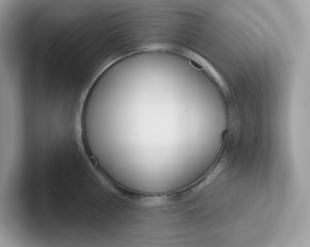 X0000101470810200807281018