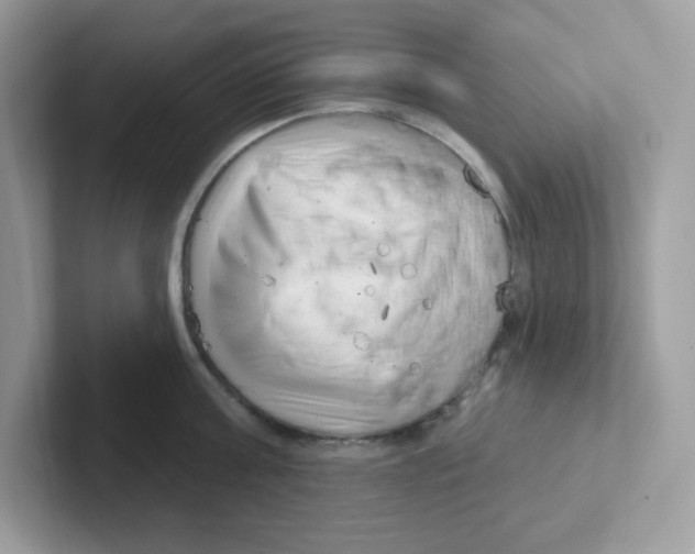 X0000101470811200807281018