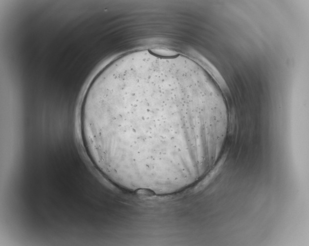 X0000101470812200807281018