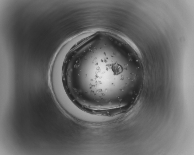 X0000101470813200807281018