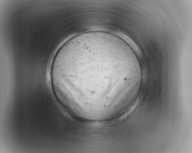 X0000101470814200807281018