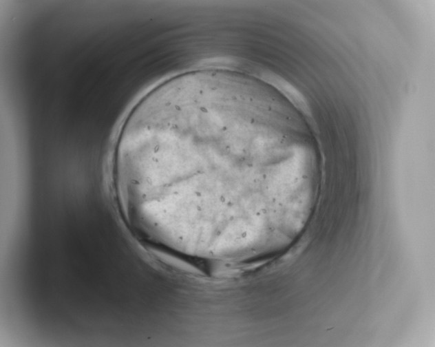 X0000101470816200807281018