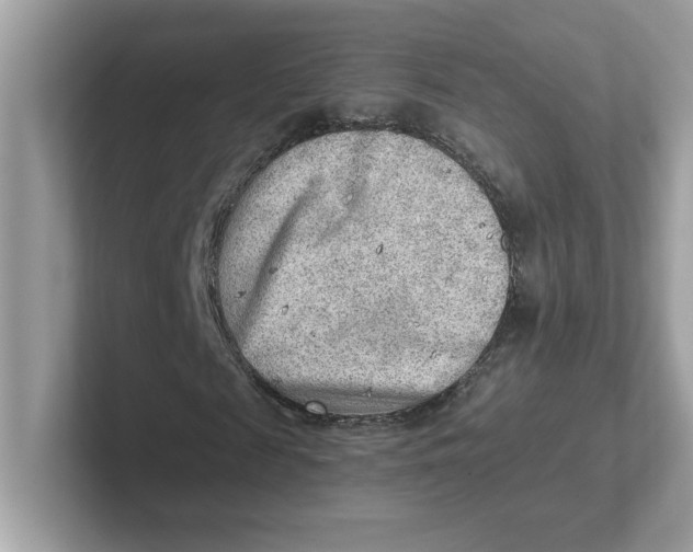 X0000101470817200807281017