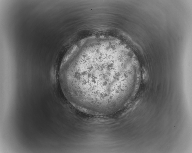 X0000101470819200807281017