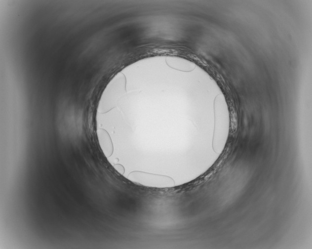 X0000101470820200807281017