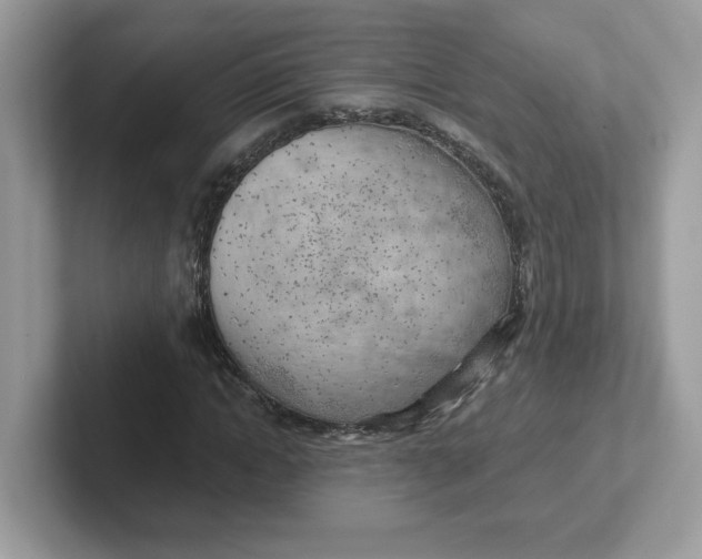 X0000101470822200807281017