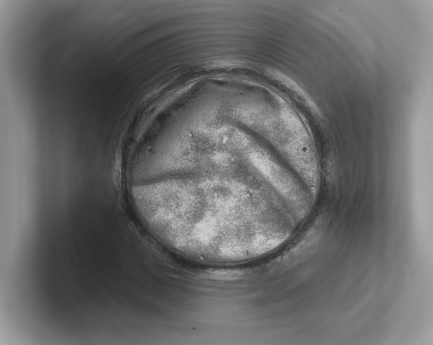 X0000101470825200807281017