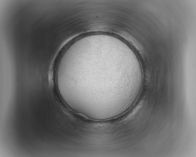 X0000101470830200807281018