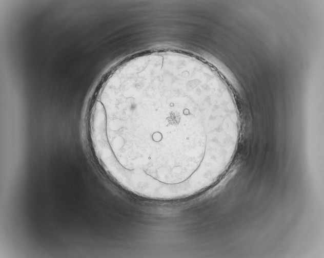 X0000101470832200807281018