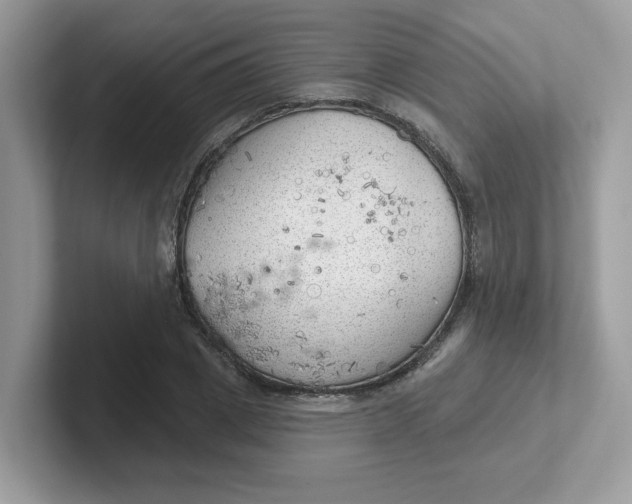 X0000101470833200807281018