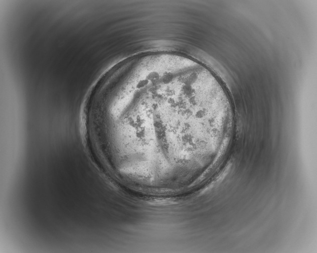 X0000101470835200807281018