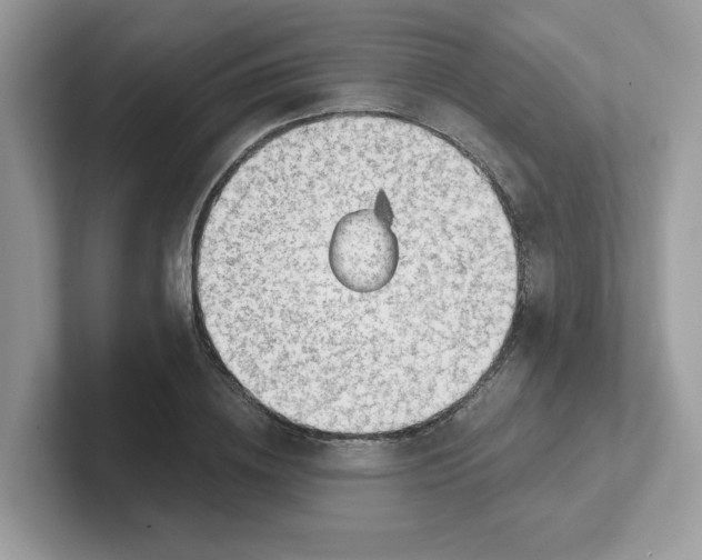 X0000101470836200807281018