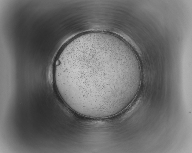 X0000101470838200807281018