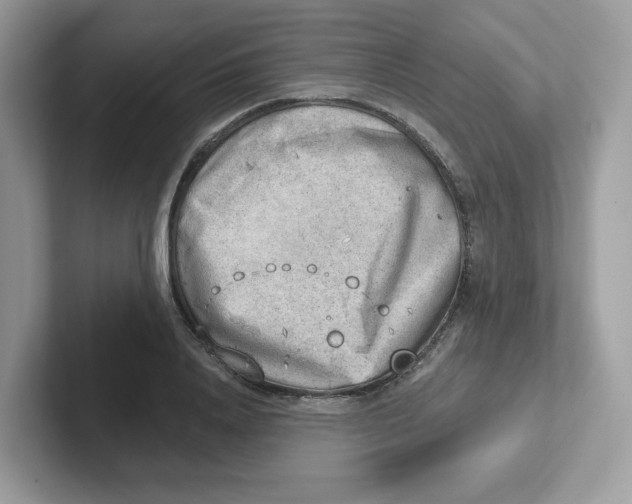 X0000101470840200807281018