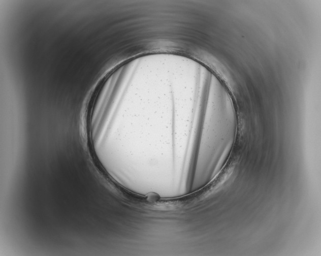 X0000101470843200807281018