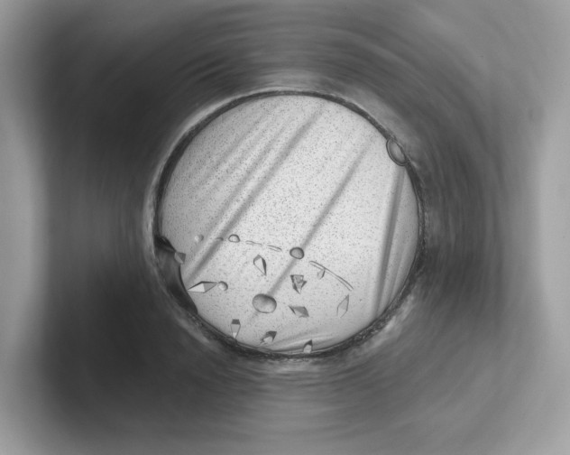 X0000101470846200807281018